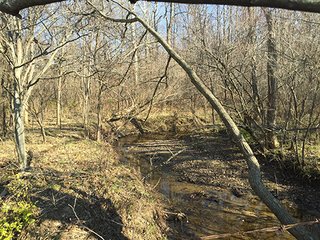 Property photo 6 - FARMLAND AUCTION - 145+/- ACRES IN 4 TRACTS FROM 3-52 ACRES IN WAYNE COUNTY